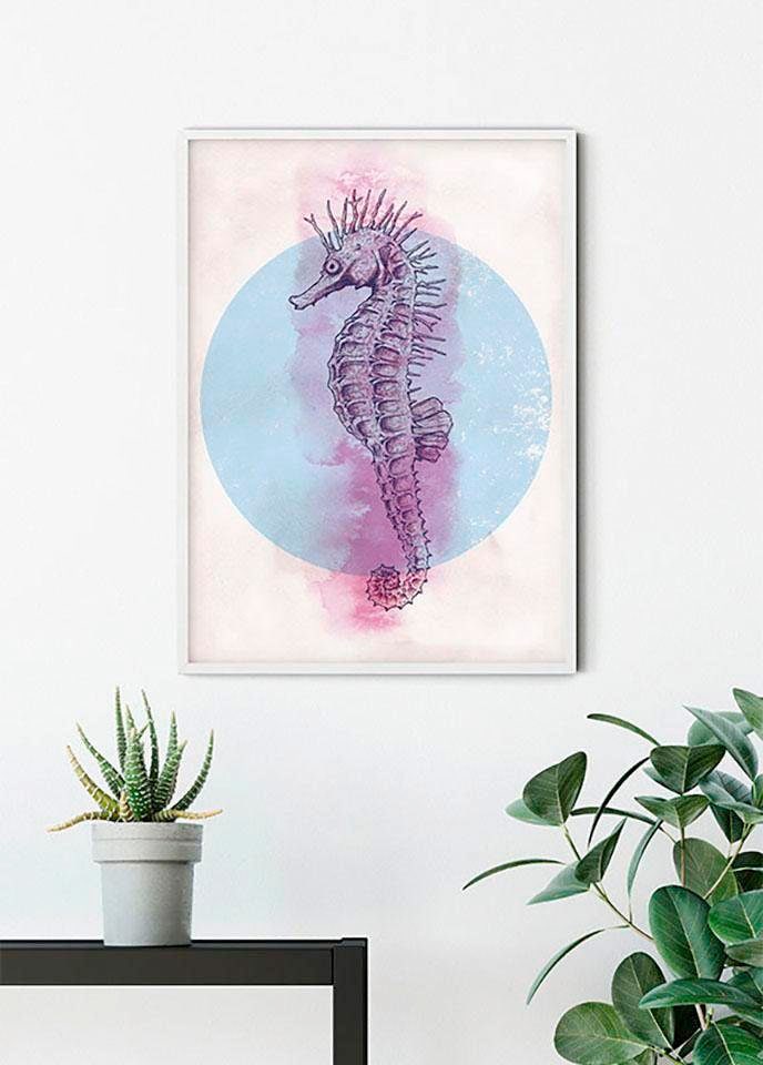 Komar Poster "Sea Horse Circle", Tiere, (1 St.) von Komar