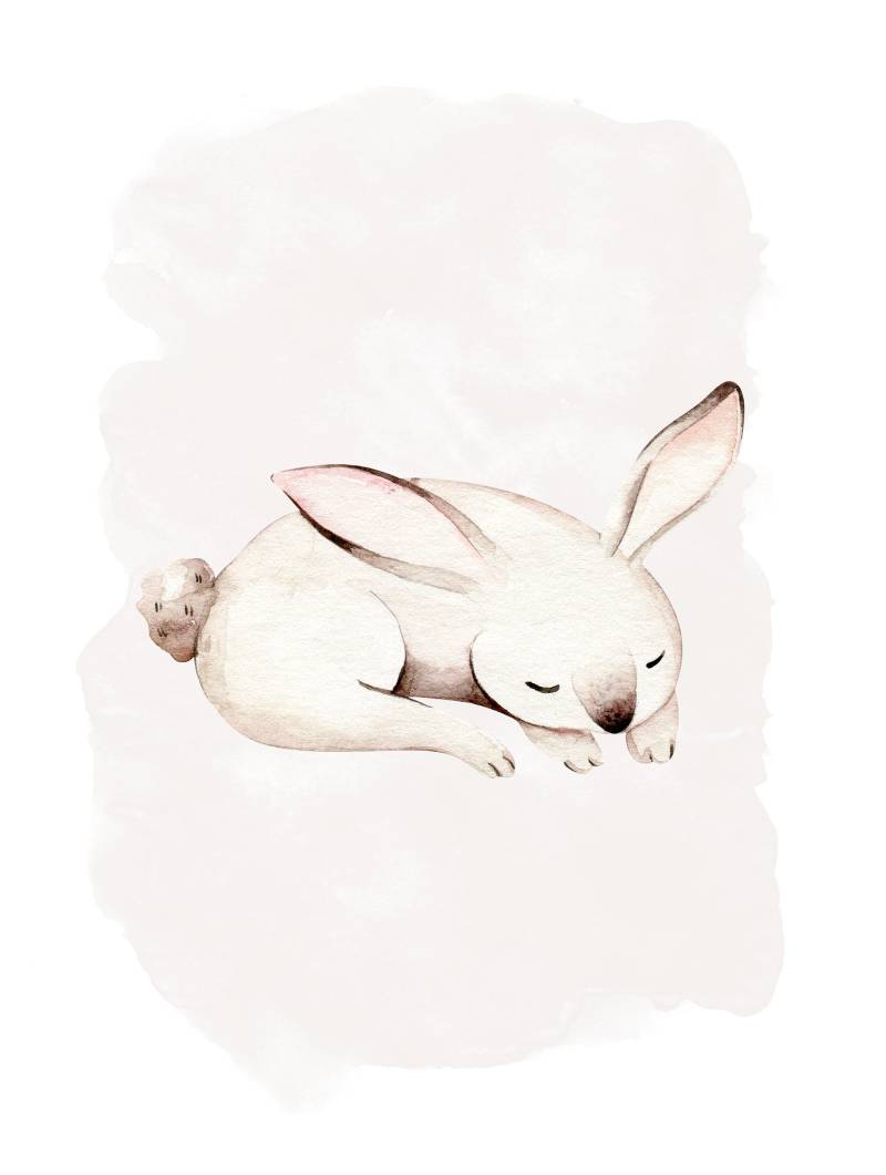 Komar Poster "Sleepy Bunny", (1 St.) von Komar
