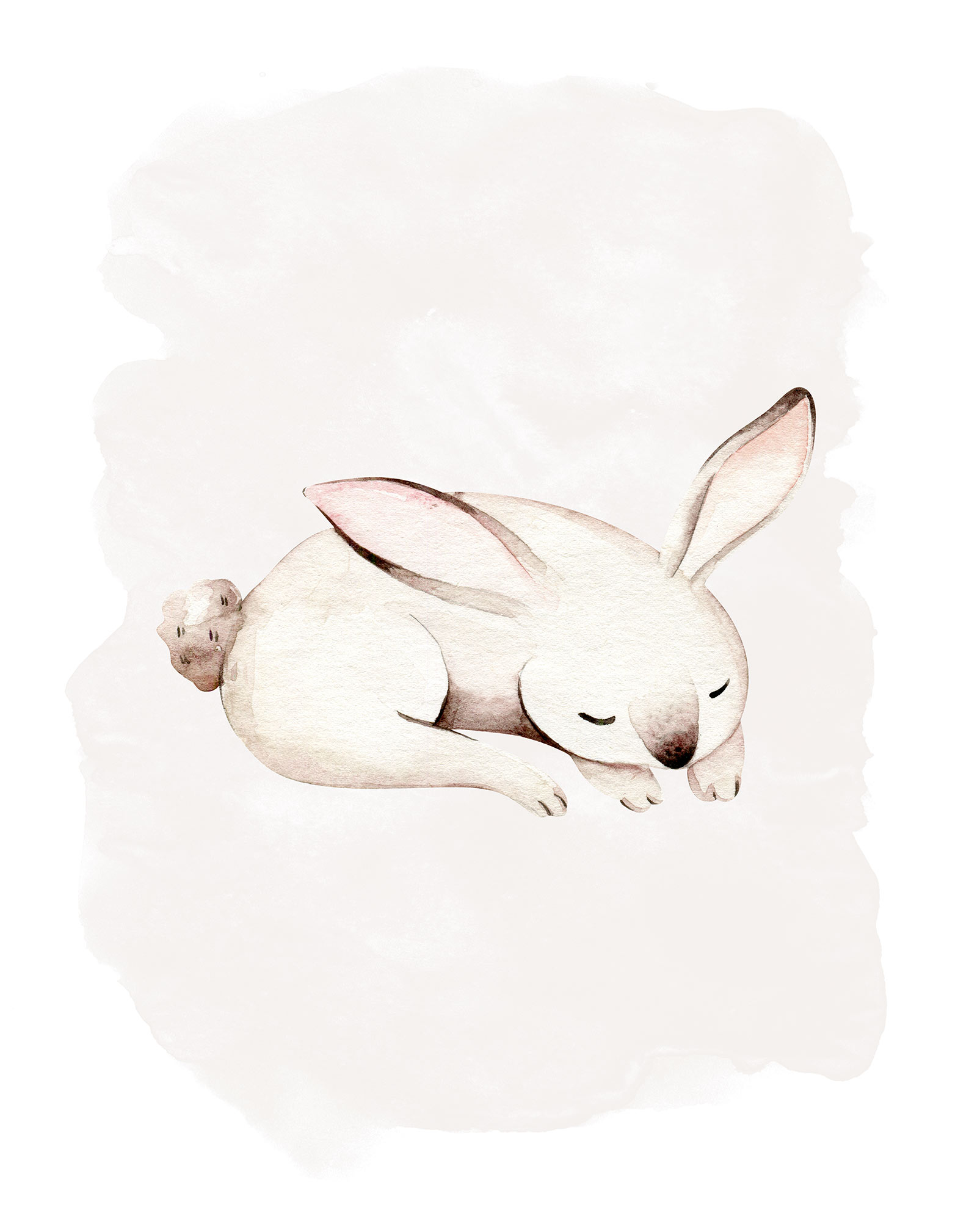 Komar Poster "Sleepy Bunny", (1 St.) von Komar