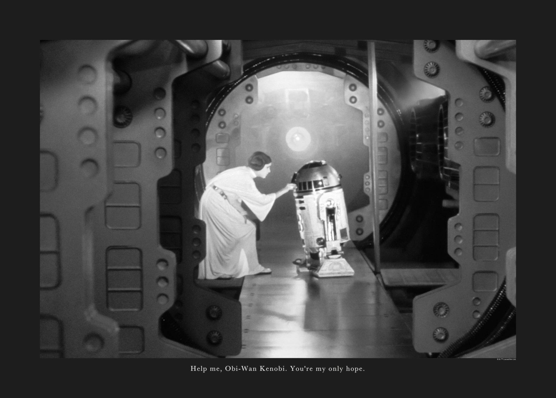 Komar Poster "Star Wars Classic Leia R2D2 Quote", Star Wars, (1 St.) von Komar