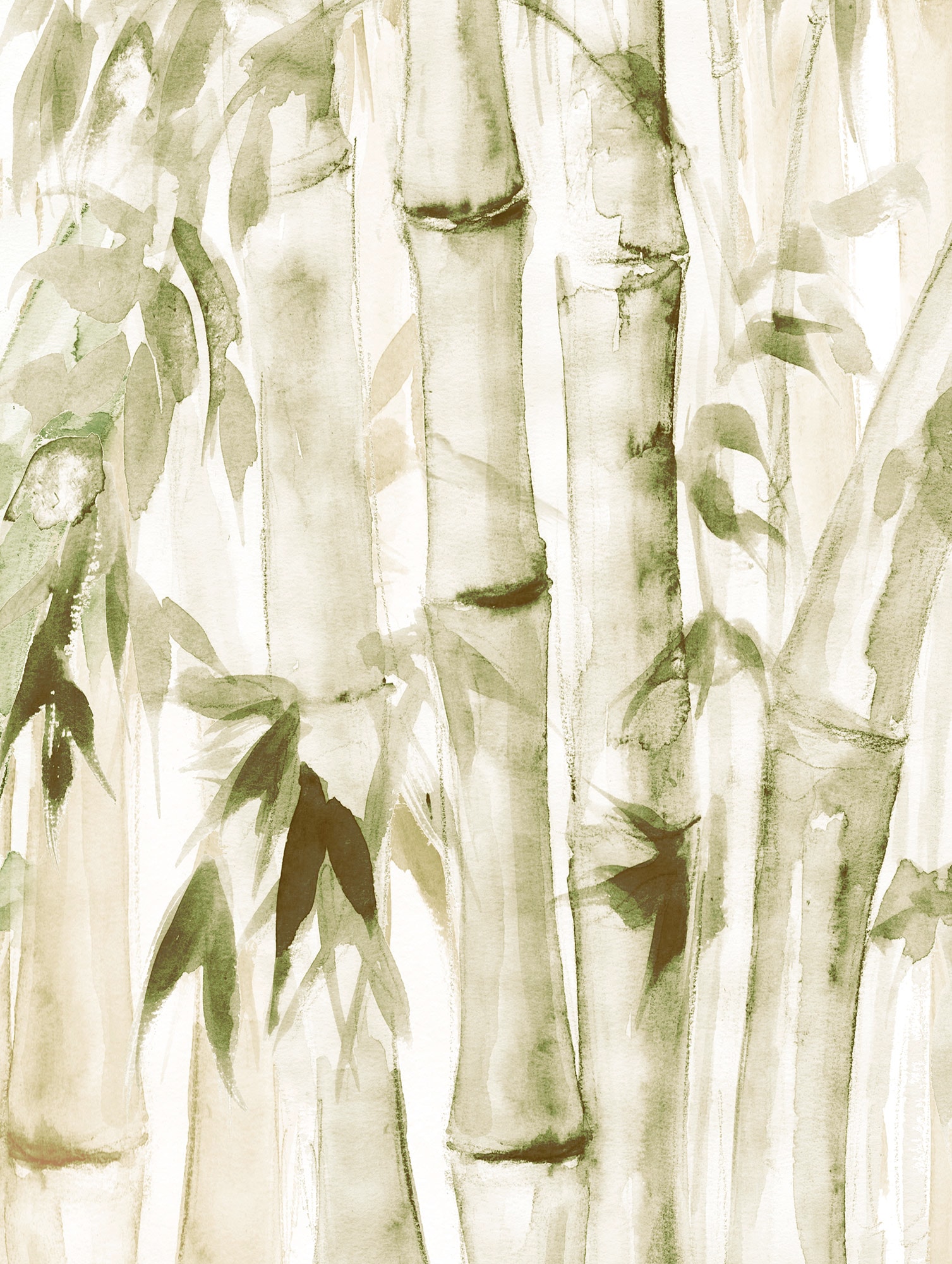 Komar Poster "Wild Bamboo", (1 St.) von Komar