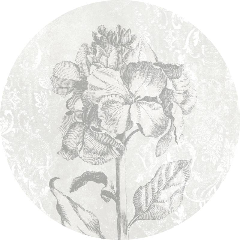 Komar Vliestapete "Vlies selbstklebend - Barock Beauty - Größe 125 x 125 cm" bedruckt glatt Wohnzimmer, Schlafzimmer von Komar