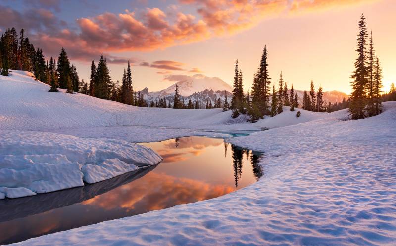 Komar Vliestapete "Digitaldruck Vlies - America the Beautiful - Größe 450 x 280 cm" bedruckt glatt Wohnzimmer, Schlafzimmer von Komar