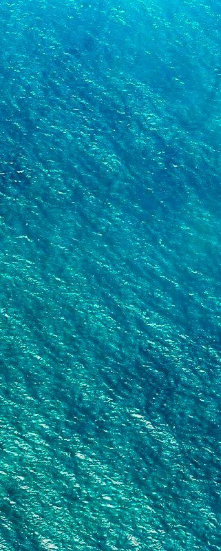 Komar Vliestapete "Digitaldruck Vlies - Blaupause Panel - Größe 100 x 250 cm" bedruckt glatt Wohnzimmer, Schlafzimmer von Komar