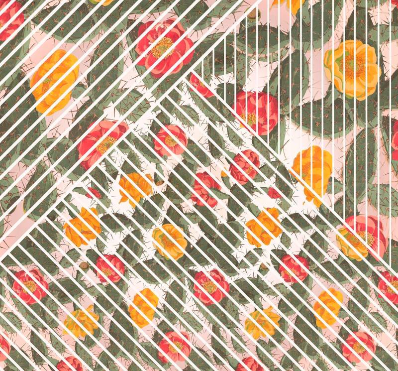 Komar Vliestapete "Digitaldruck Vlies - Cactus - Größe 300 x 280 cm" bedruckt glatt Wohnzimmer, Schlafzimmer von Komar