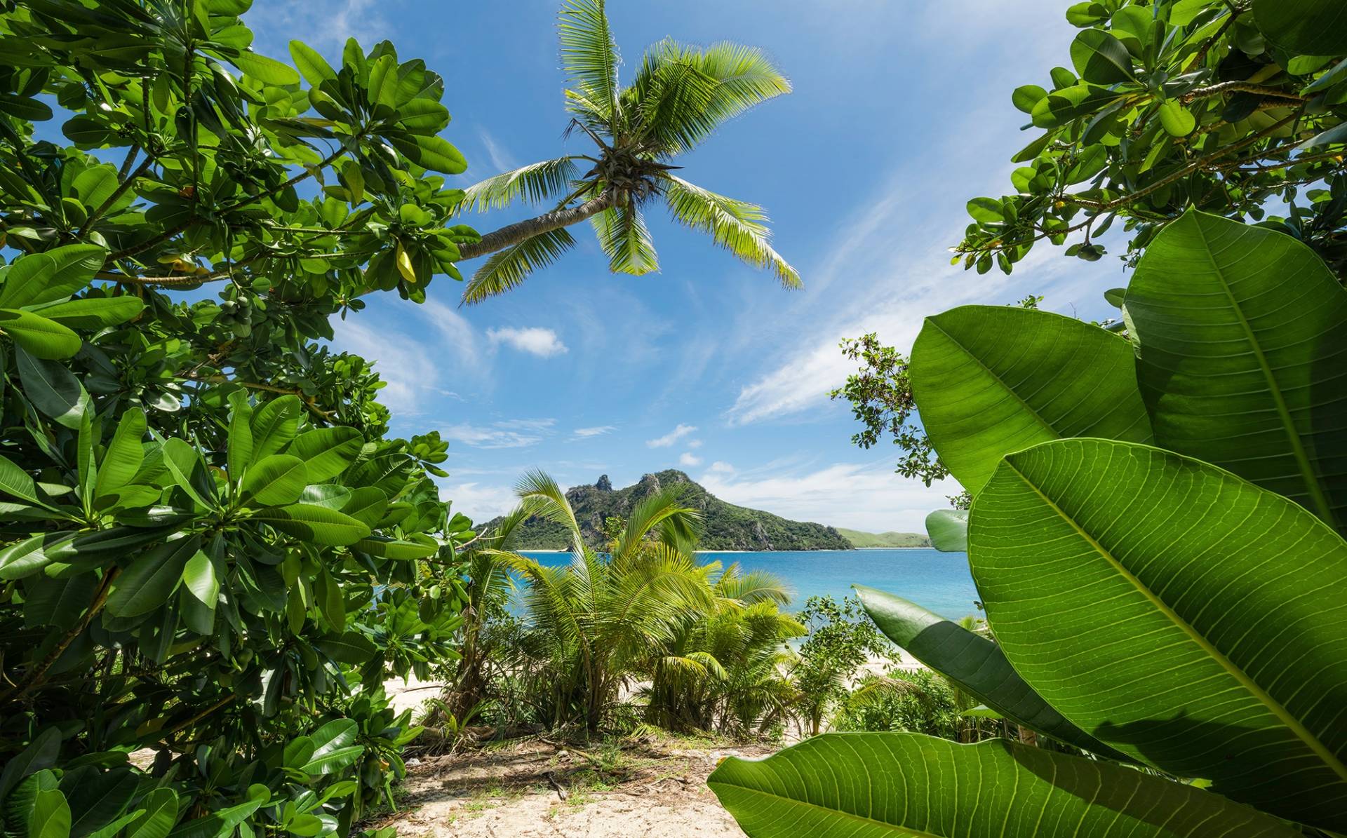 Komar Vliestapete "Digitaldruck Vlies - Cast Away Jungle - Größe 450 x 280 cm" bedruckt glatt Wohnzimmer, Schlafzimmer von Komar