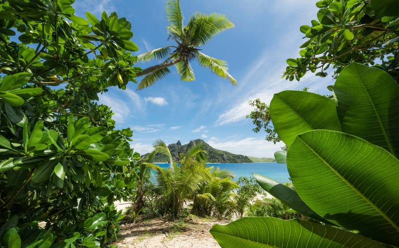 Komar Vliestapete "Digitaldruck Vlies - Cast Away Jungle - Größe 450 x 280 cm" bedruckt glatt Wohnzimmer, Schlafzimmer von Komar