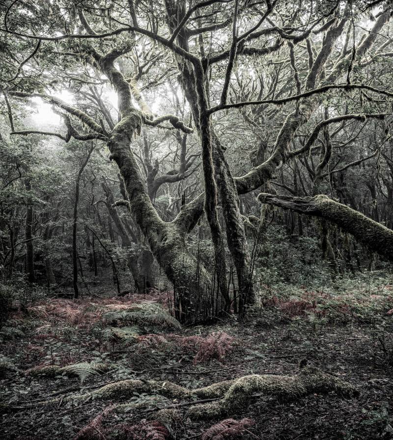 Komar Vliestapete "Digitaldruck Vlies - Das Model - Größe 250 x 280 cm" bedruckt glatt Wohnzimmer, Schlafzimmer von Komar