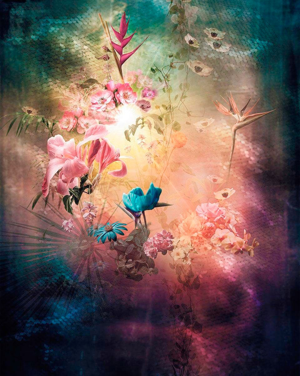 Komar Vliestapete "Digitaldruck Vlies - Enlightenment - Größe 200 x 250 cm", bedruckt, Wohnzimmer, Schlafzimmer Komar Vliestapete "Digitaldruck Vlies - Enlightenment - Größe 200 x 250 cm", bedruckt, Wohnzimmer, Schlafzimmer von Komar