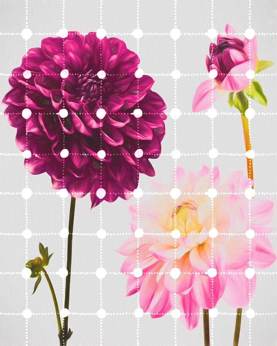 Komar Vliestapete "Digitaldruck Vlies - Flowers & Dots - Größe 200 x 250 cm", bedruckt, Wohnzimmer, Schlafzimmer Komar Vliestapete "Digitaldruck Vlies - Flowers & Dots - Größe 200 x 250 cm", bedruckt, Wohnzimmer, Schlafzimmer von Komar