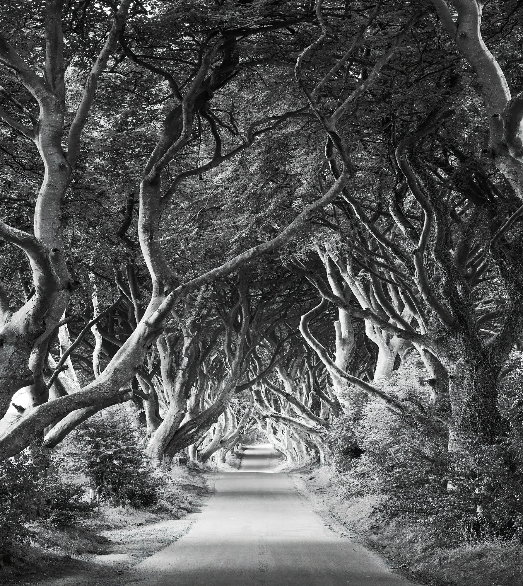 Komar Vliestapete "Digitaldruck Vlies - Forevenue - Größe 250 x 280 cm" bedruckt glatt Wohnzimmer, Schlafzimmer von Komar