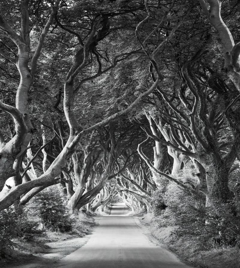 Komar Vliestapete "Digitaldruck Vlies - Forevenue - Größe 250 x 280 cm" bedruckt glatt Wohnzimmer, Schlafzimmer von Komar