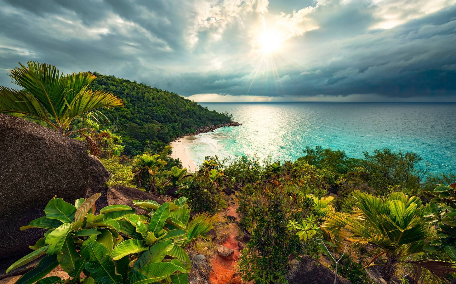 Komar Vliestapete "Digitaldruck Vlies - Garten der Versuchung - Größe 450 x 280 cm" bedruckt glatt Wohnzimmer, Schlafzimmer von Komar