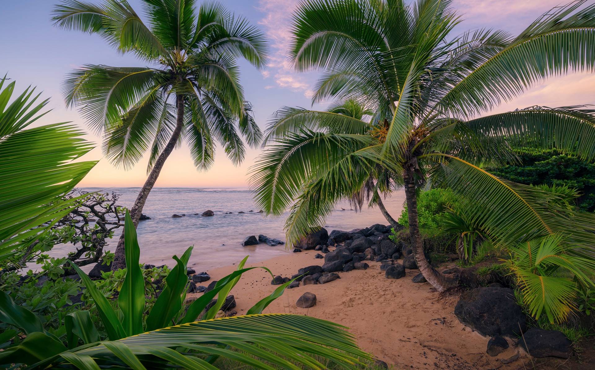 Komar Vliestapete "Digitaldruck Vlies - Hawaiian Dreams - Größe 450 x 280 cm" bedruckt glatt Wohnzimmer, Schlafzimmer von Komar