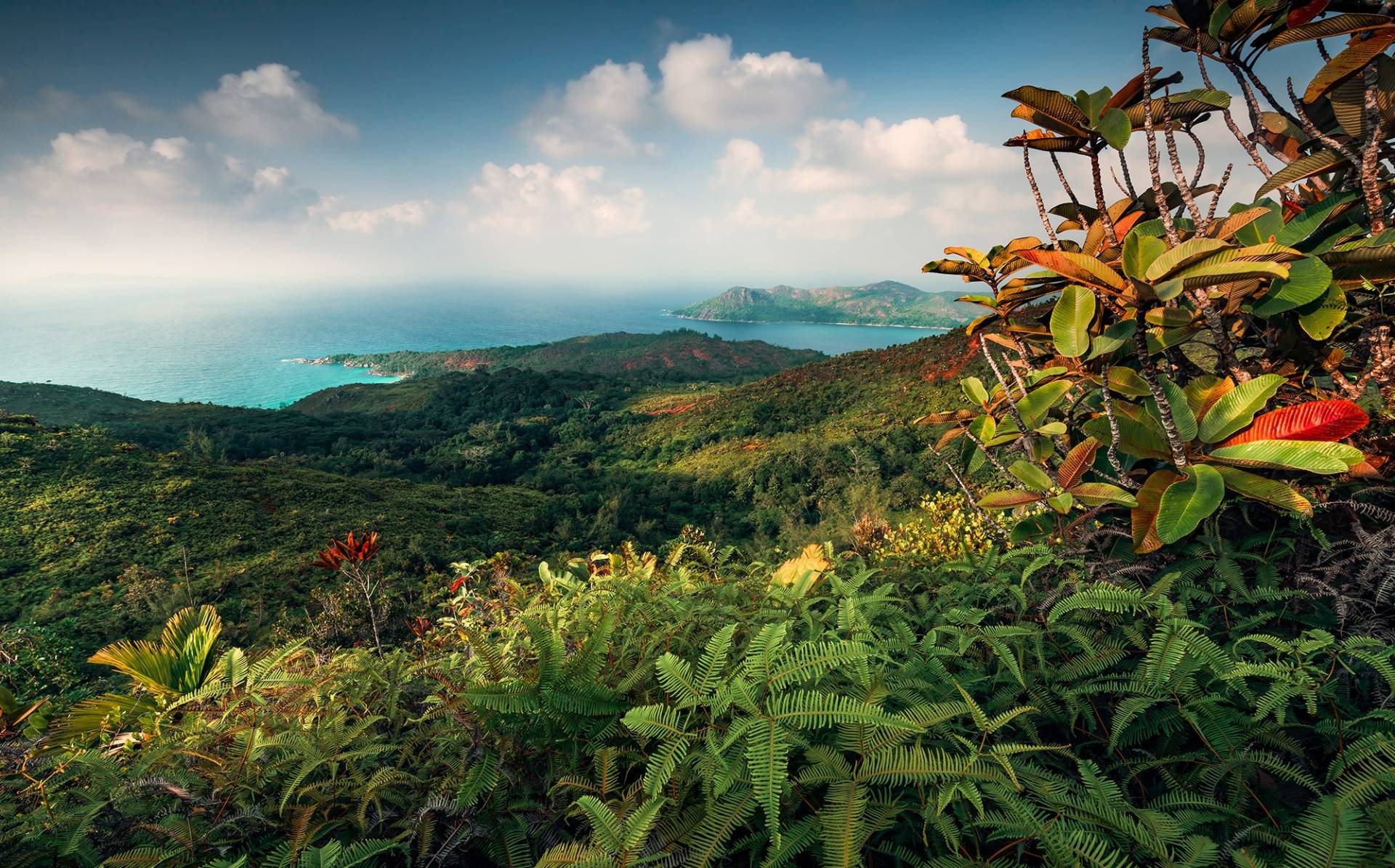 Komar Vliestapete "Digitaldruck Vlies - Heavens Balcony - Größe 450 x 280 cm" bedruckt glatt Wohnzimmer, Schlafzimmer von Komar