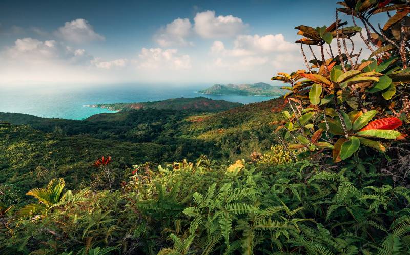 Komar Vliestapete "Digitaldruck Vlies - Heavens Balcony - Größe 450 x 280 cm" bedruckt glatt Wohnzimmer, Schlafzimmer von Komar