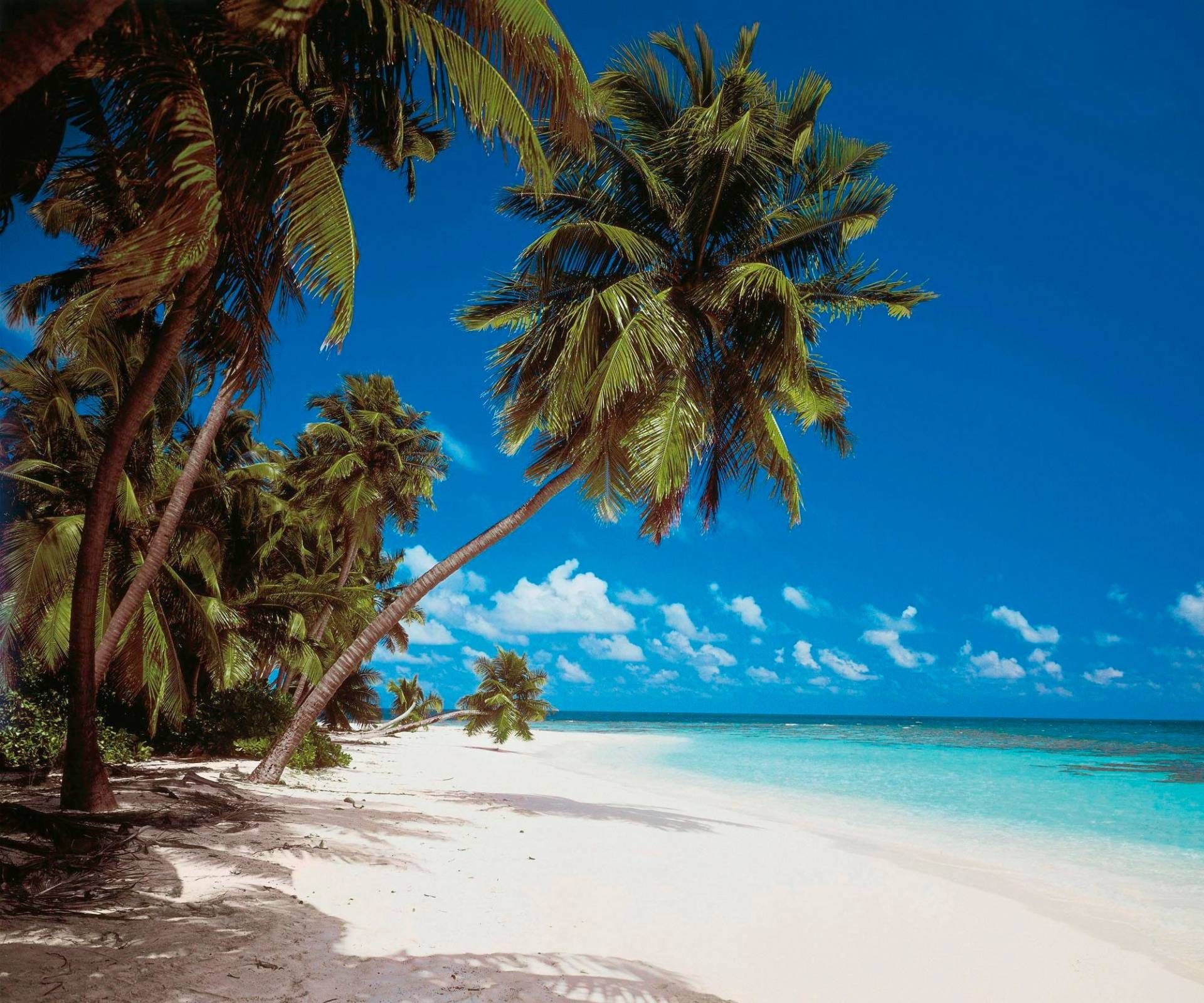 Komar Vliestapete "Digitaldruck Vlies - Maldives - Größe 300 x 250 cm", bedruckt, Wohnzimmer, Schlafzimmer von Komar