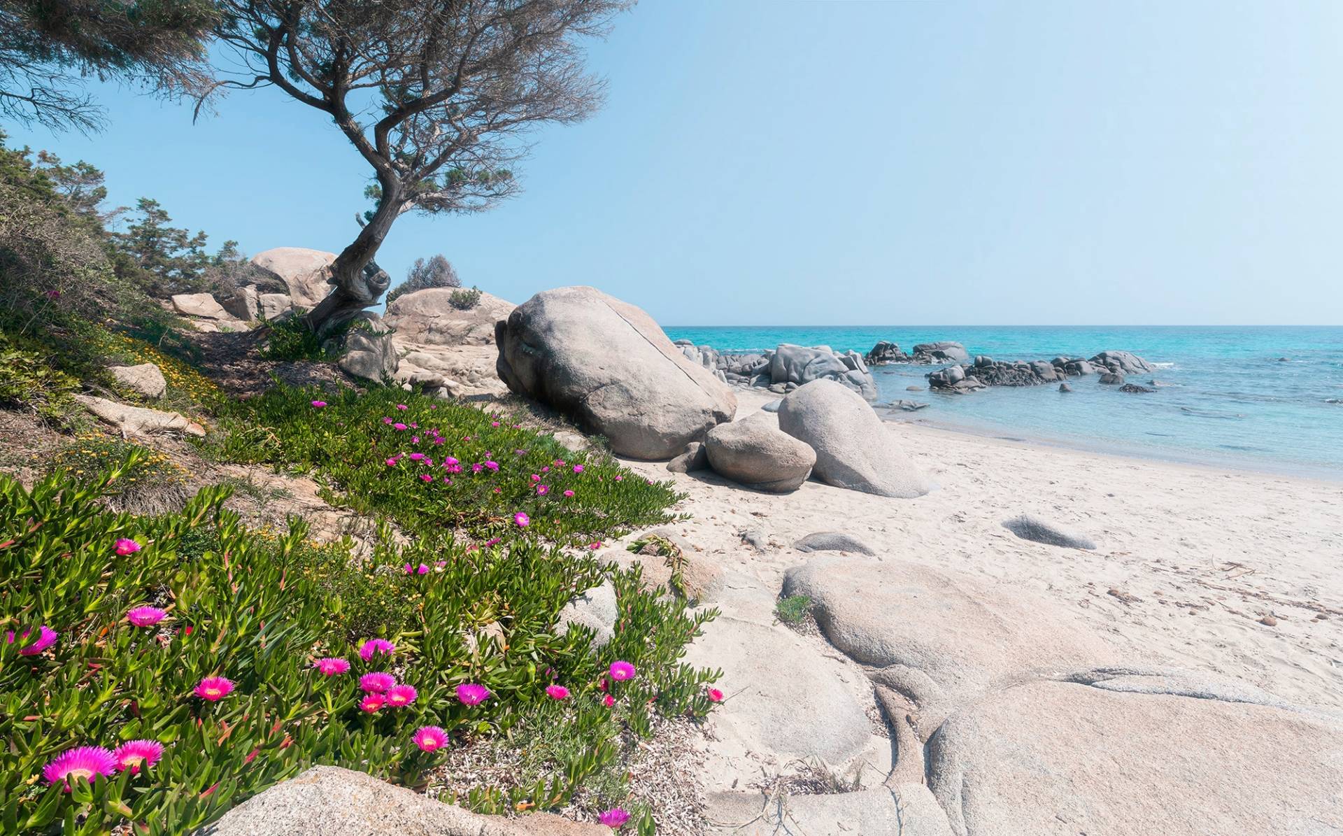 Komar Vliestapete "Digitaldruck Vlies - Mediterrane Träume - Größe 450 x 280 cm" bedruckt glatt Wohnzimmer, Schlafzimmer von Komar