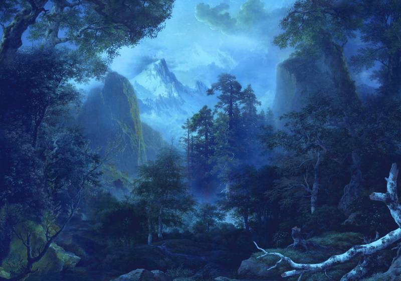 Komar Vliestapete "Digitaldruck Vlies - Midnight - Größe 400 x 280 cm" bedruckt glatt Wohnzimmer, Schlafzimmer von Komar