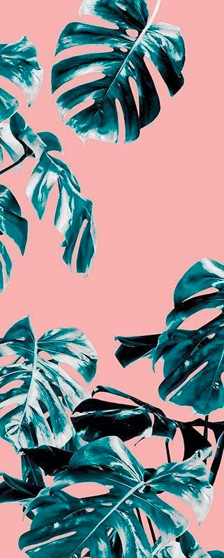 Komar Vliestapete "Digitaldruck Vlies - Monstera Rosé Panel - Größe 100 x 250 cm", bedruckt, Wohnzimmer, Schlafzimmer von Komar