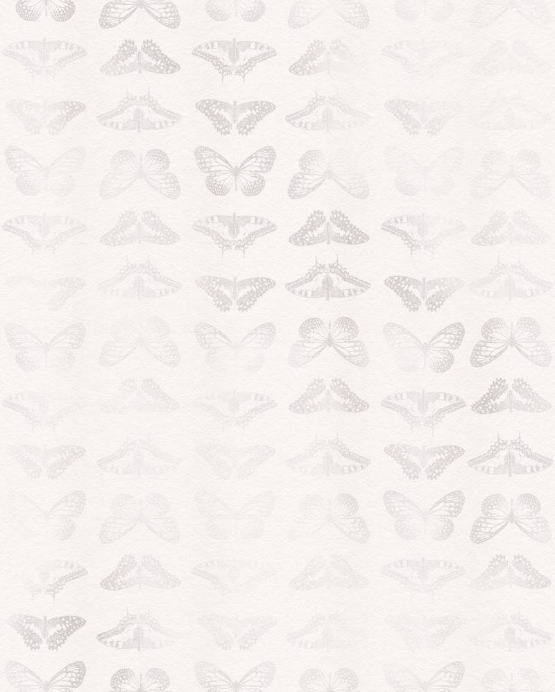 Komar Vliestapete "Digitaldruck Vlies - Mur de Papillons - Größe 200 x 250 cm" bedruckt glatt Wohnzimmer, Schlafzimmer von Komar