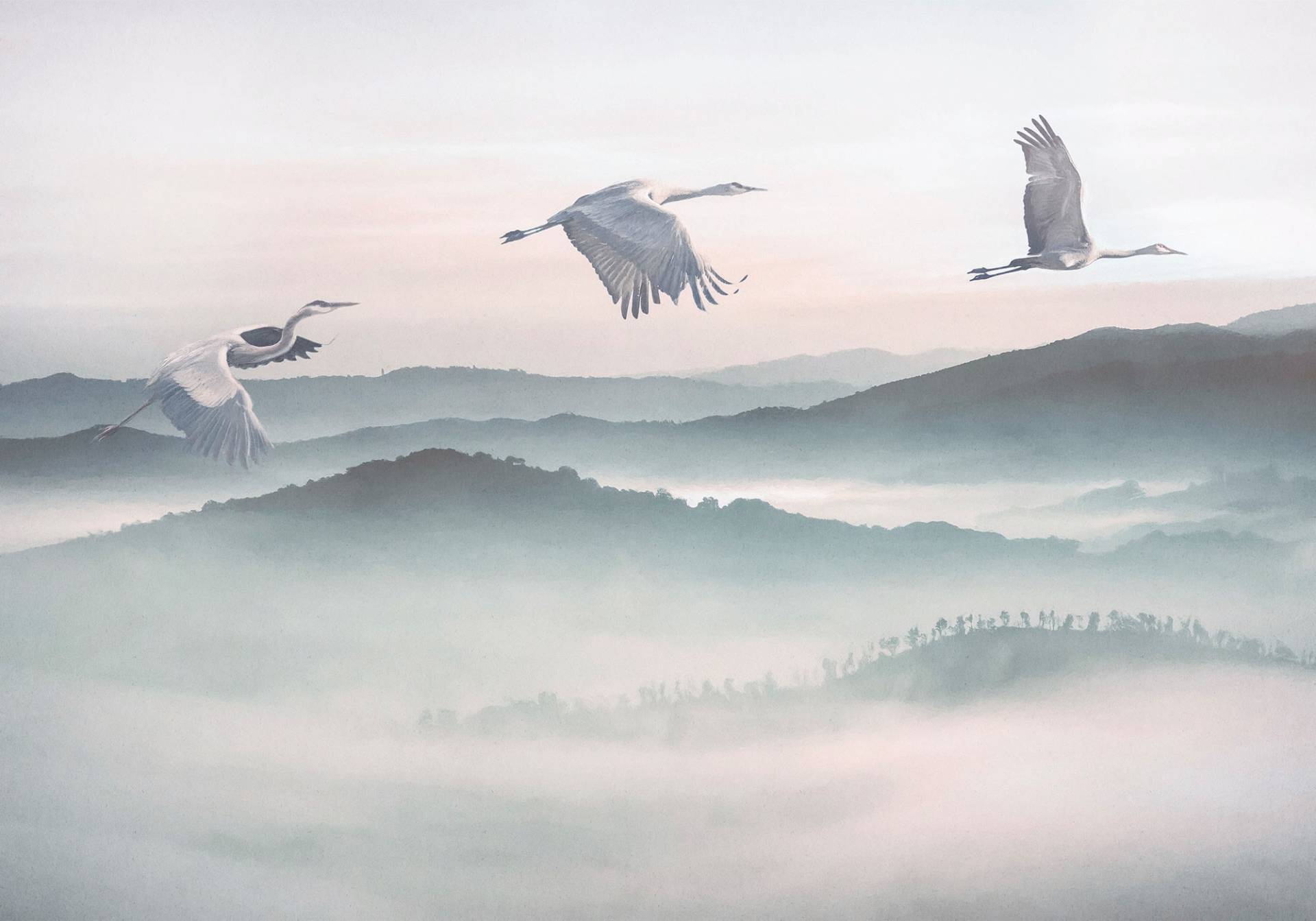 Komar Vliestapete "Digitaldruck Vlies - Mystic Cranes - Größe 400 x 280 cm" bedruckt glatt Wohnzimmer, Schlafzimmer von Komar