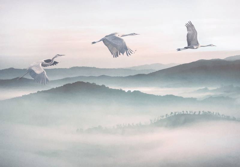 Komar Vliestapete "Digitaldruck Vlies - Mystic Cranes - Größe 400 x 280 cm" bedruckt glatt Wohnzimmer, Schlafzimmer von Komar
