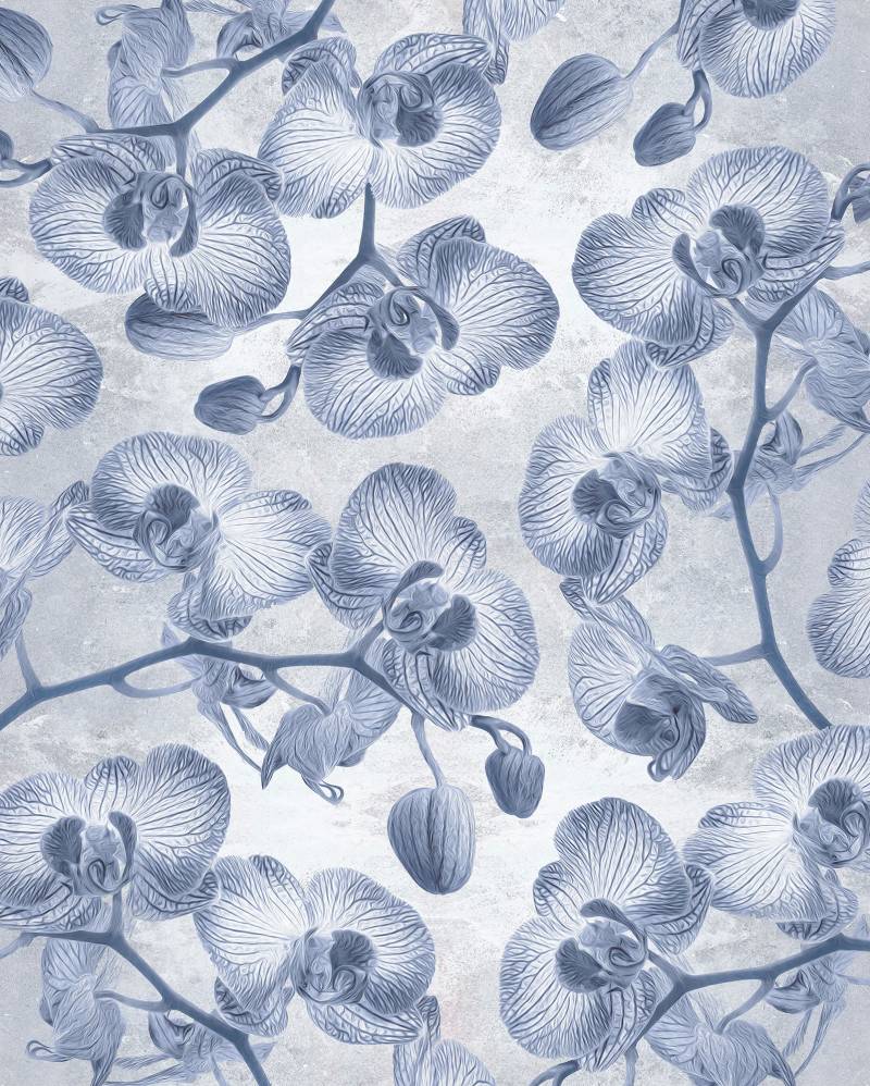 Komar Vliestapete "Digitaldruck Vlies - Orchidée - Größe 200 x 250 cm" bedruckt glatt Wohnzimmer, Schlafzimmer Komar Vliestapete "Digitaldruck Vlies - Orchidée - Größe 200 x 250 cm" bedruckt glatt Wohnzimmer, Schlafzimmer von Komar