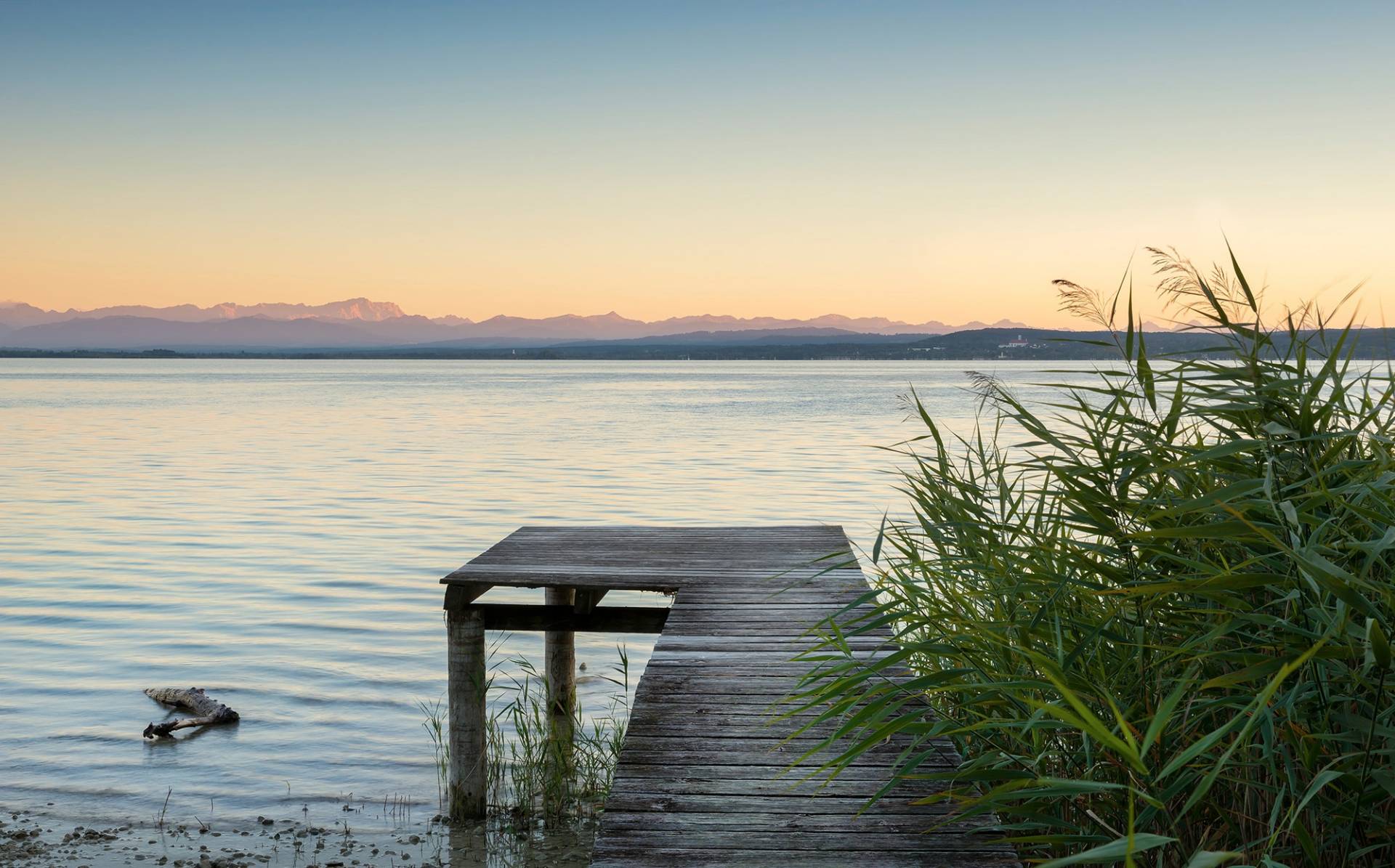 Komar Vliestapete "Digitaldruck Vlies - Pastell - Größe 450 x 280 cm" bedruckt glatt Wohnzimmer, Schlafzimmer von Komar