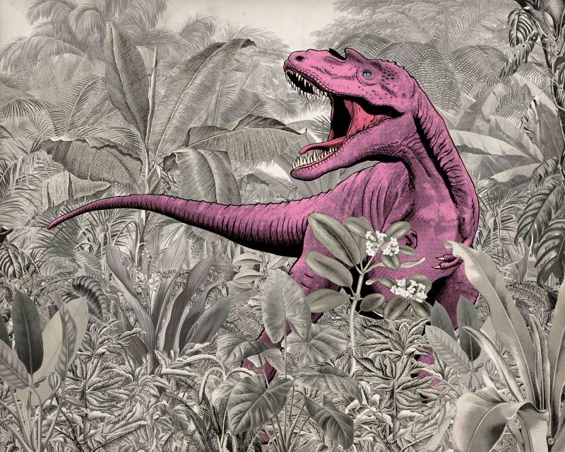 Komar Vliestapete "Digitaldruck Vlies - Pinky - Größe 350 x 280 cm" bedruckt glatt Kinderzimmer von Komar