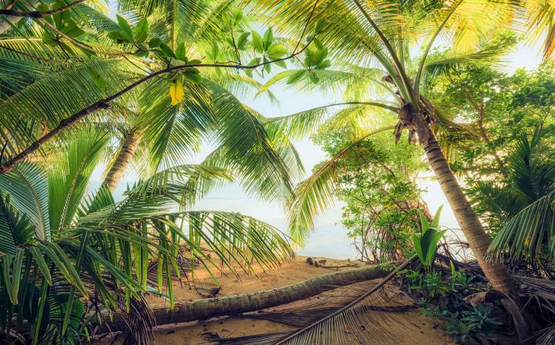 Komar Vliestapete "Digitaldruck Vlies - Piratenversteck - Größe 450 x 280 cm" bedruckt glatt Wohnzimmer, Schlafzimmer von Komar