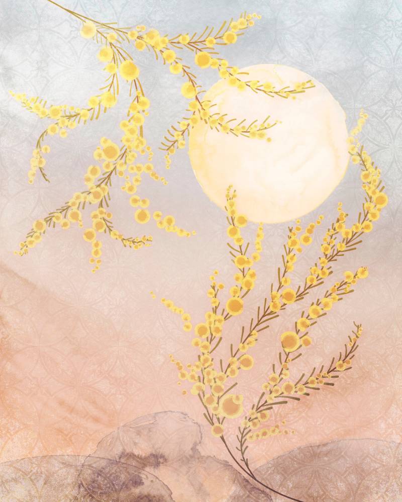 Komar Vliestapete "Digitaldruck Vlies - Sol - Größe 200 x 250 cm" bedruckt glatt Wohnzimmer, Schlafzimmer von Komar