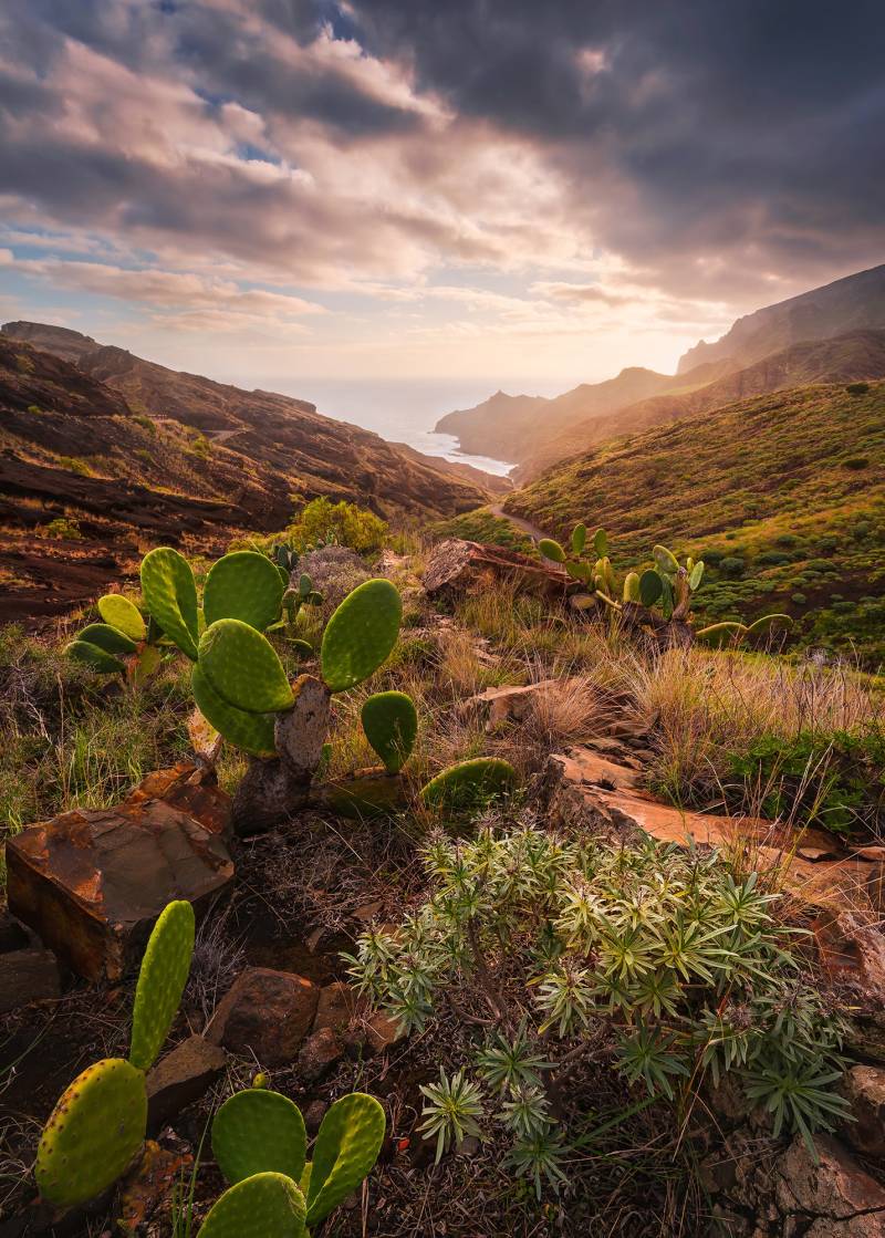 Komar Vliestapete "Digitaldruck Vlies - Warmes Licht - Größe 200 x 280 cm" bedruckt glatt Wohnzimmer, Schlafzimmer von Komar