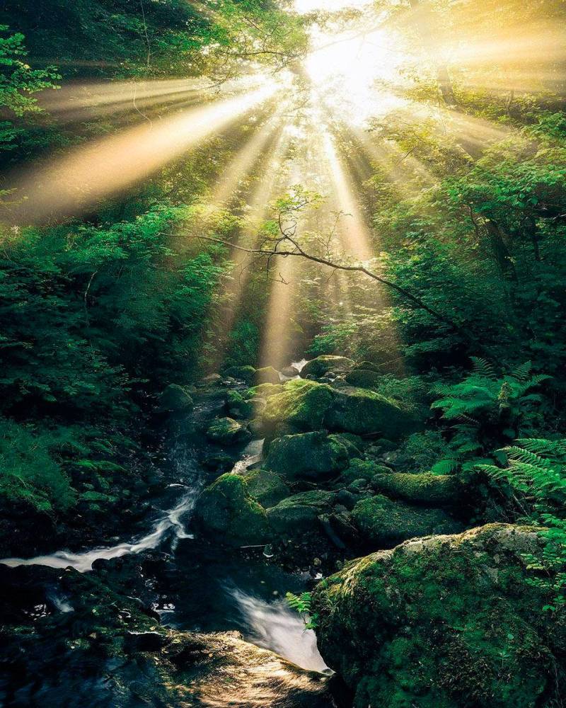 Komar Vliestapete "Digitaldruck Vlies - Divine - Größe 200 x 250 cm" bedruckt glatt Wohnzimmer, Schlafzimmer von Komar