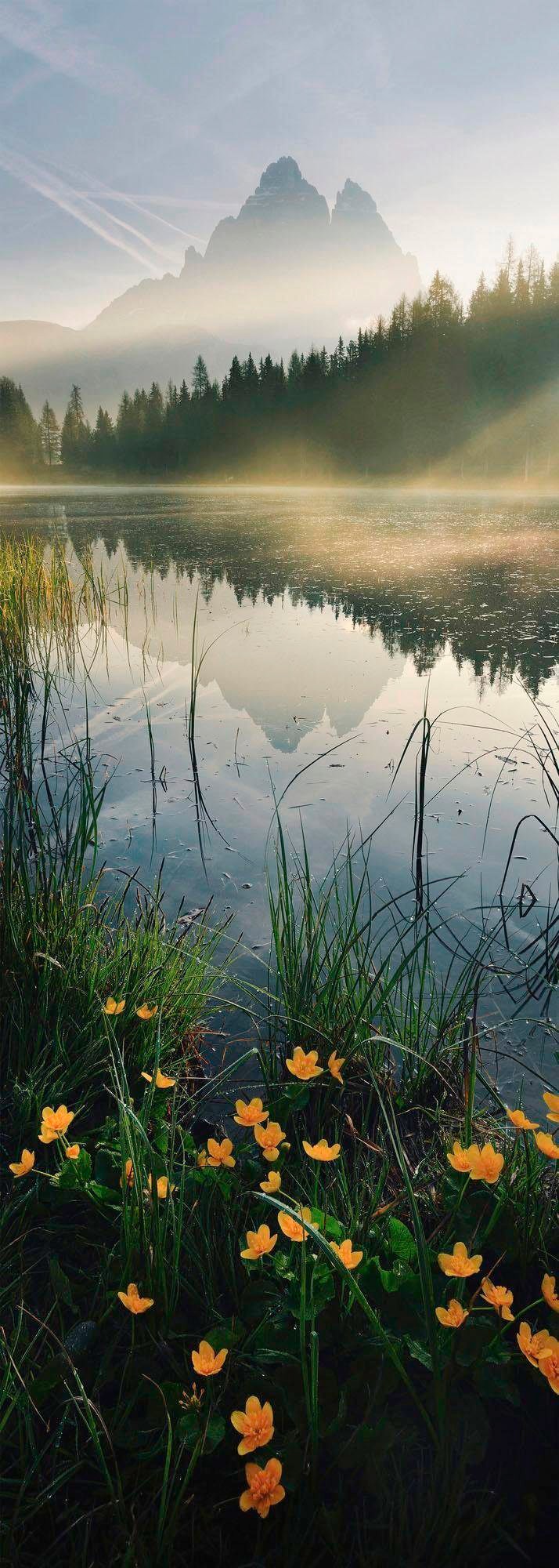 Komar Vliestapete "Morning Mist" von Komar