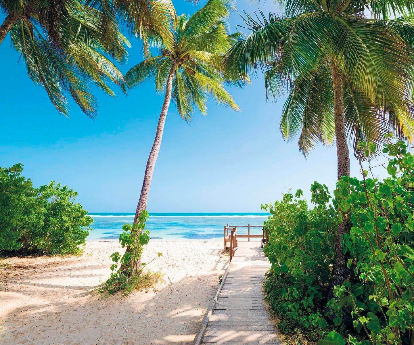 Komar Vliestapete "Palmy Beach" von Komar