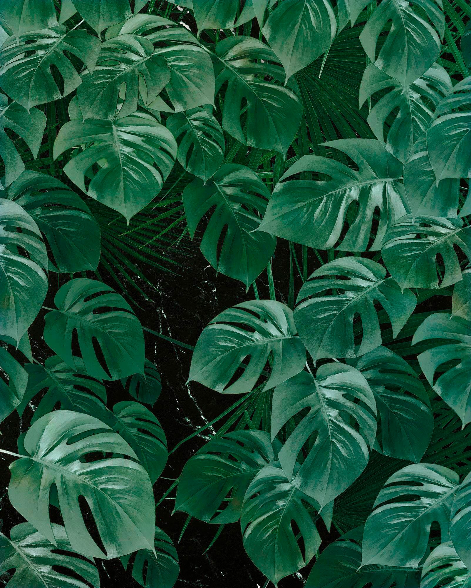 Komar Vliestapete "Monstera on Marble" von Komar