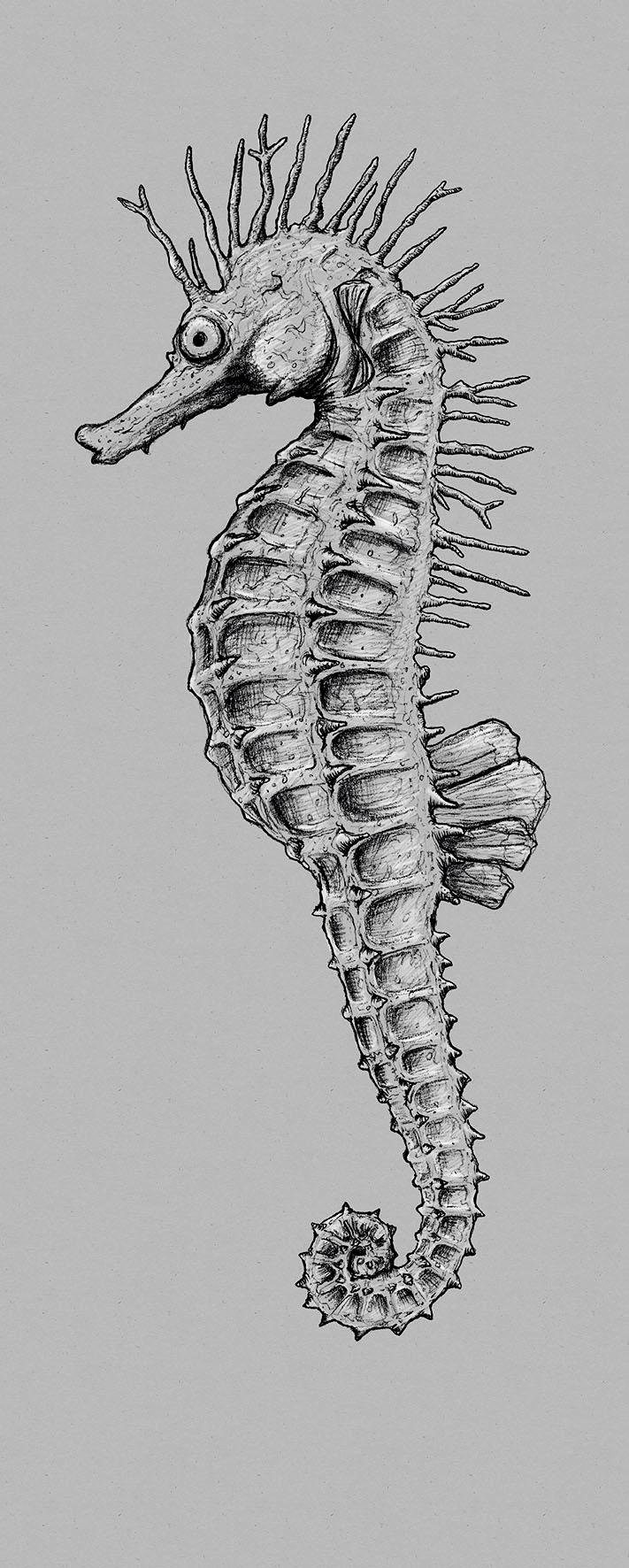 Komar Vliestapete "Seahorse Panel" von Komar