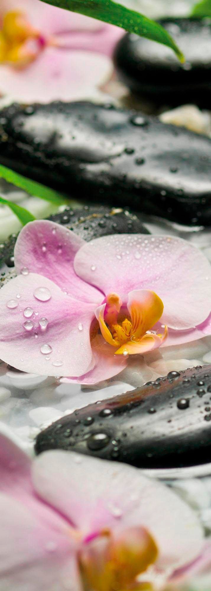 Komar Vliestapete "Digitaldruck Vlies - Wellness - Größe 100 x 280 cm" bedruckt glatt Wohnzimmer, Schlafzimmer von Komar