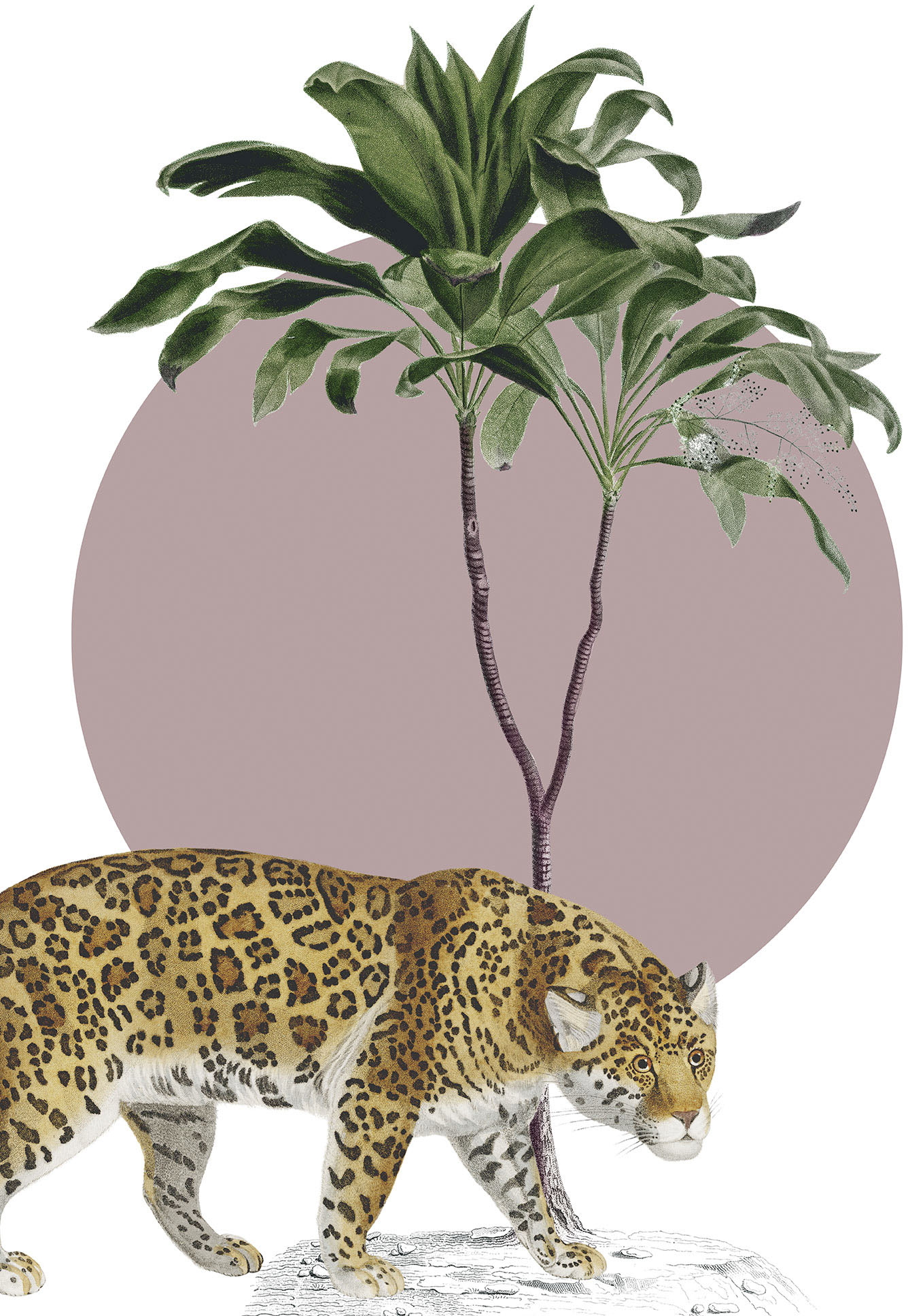 Komar Wandbild "Botanical Garden Jaguar", (1 St.), Deutsches Premium-Poster Fotopapier mit seidenmatter Oberfläche und hoher Lichtbeständigkeit. Für fotorealistische Drucke mit gestochen scharfen Details und hervorragender Farbbrillanz. von Komar