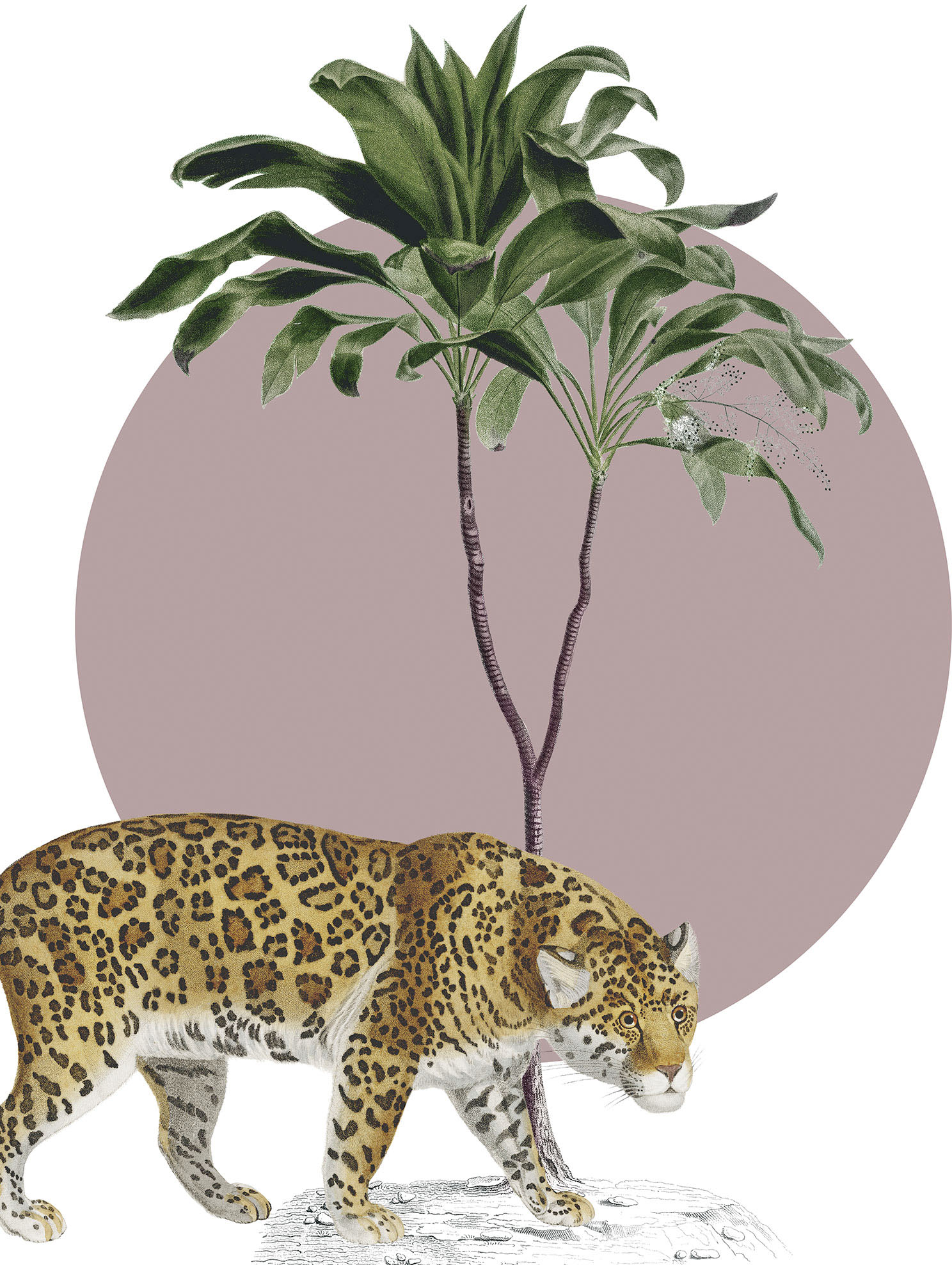 Komar Wandbild "Botanical Garden Jaguar", (1 St.), Deutsches Premium-Poster Fotopapier mit seidenmatter Oberfläche und hoher Lichtbeständigkeit. Für fotorealistische Drucke mit gestochen scharfen Details und hervorragender Farbbrillanz. von Komar