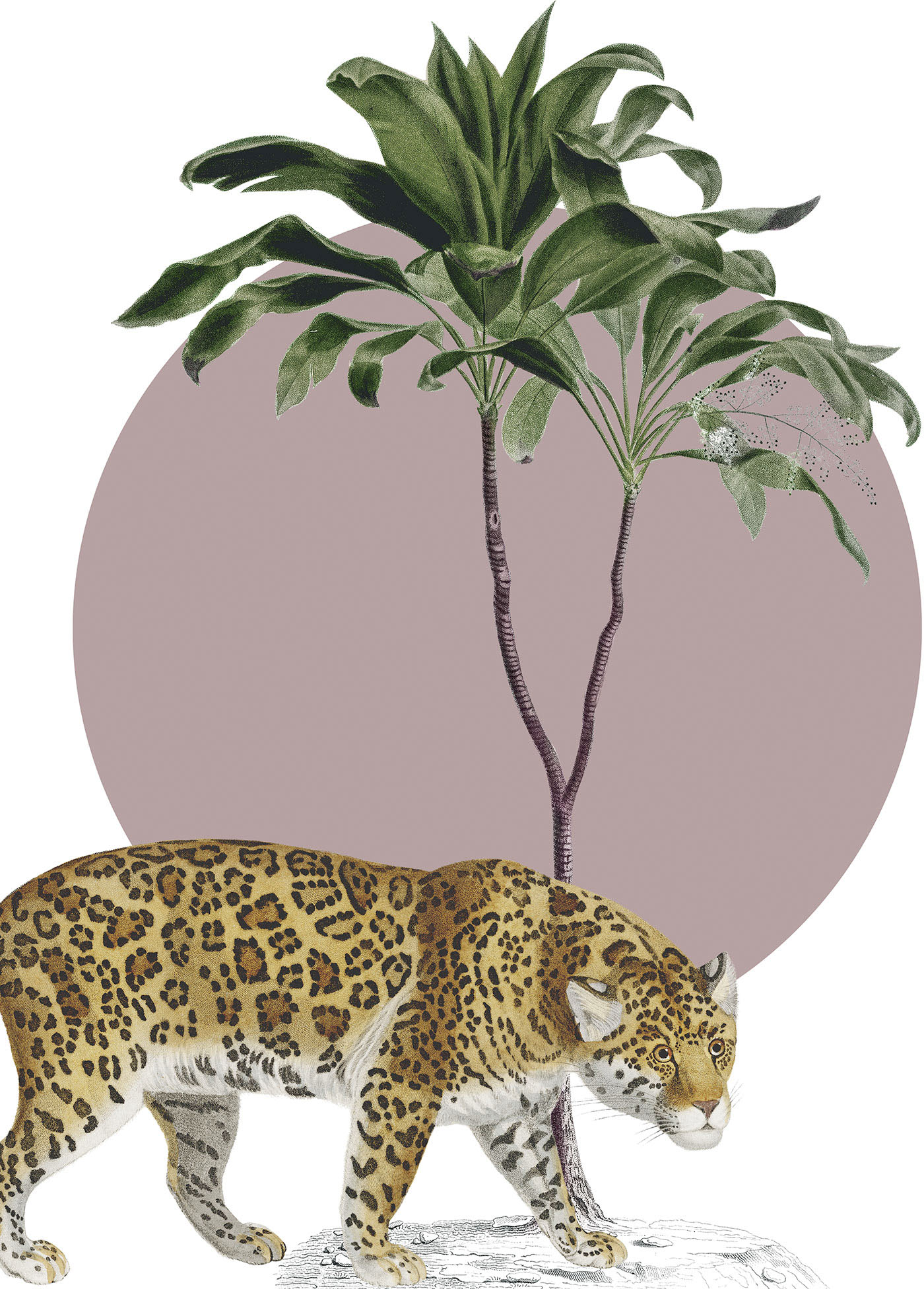 Komar Wandbild "Botanical Garden Jaguar", (1 St.), Deutsches Premium-Poster Fotopapier mit seidenmatter Oberfläche und hoher Lichtbeständigkeit. Für fotorealistische Drucke mit gestochen scharfen Details und hervorragender Farbbrillanz. von Komar