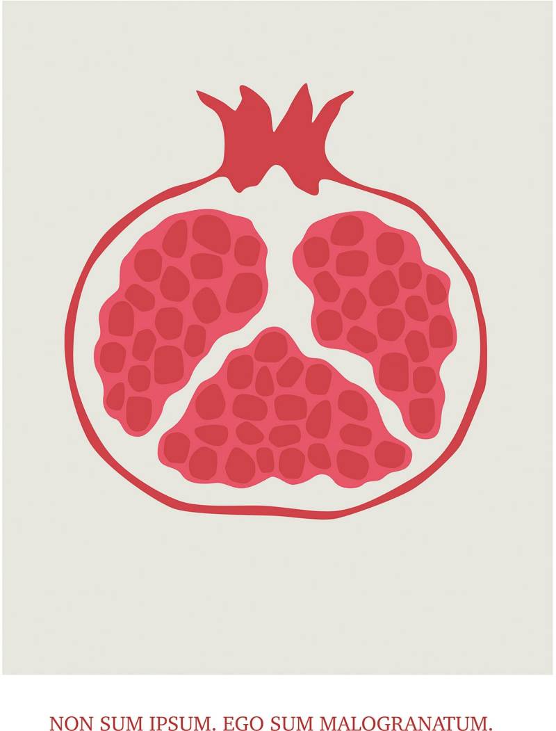 Komar Bild "Cultivated Pomegranate" Natur 1 Stk. tlg. Wandbild zur Dekoration - ohne Rahmen von Komar