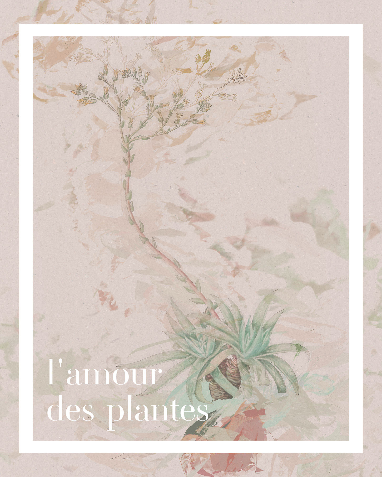 Komar Wandbild "Lamour des plantes", (1 St.), Deutsches Premium-Poster Fotopapier mit seidenmatter Oberfläche und hoher Lichtbeständigkeit. Für fotorealistische Drucke mit gestochen scharfen Details und hervorragender Farbbrillanz. von Komar