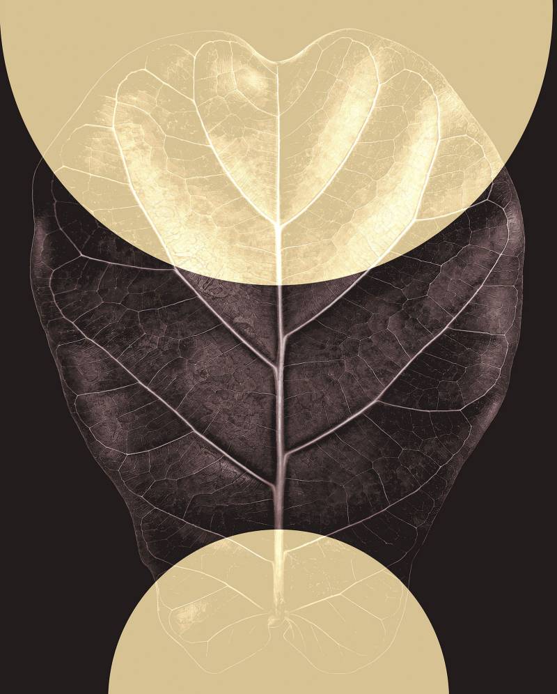 Komar Bild "Shadow Theatre" Natur 1 Stk. tlg. Wandbild zur Dekoration - ohne Rahmen von Komar