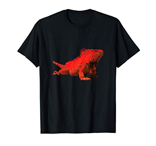 Leguan Echse Terrarium Kinder Mann Geschenk Junge Waran T-Shirt Leguan Echse Terrarium Kinder Mann Geschenk Junge Waran T-Shirt von Komodowaran Warane Geschenk Reptilien Eidechse