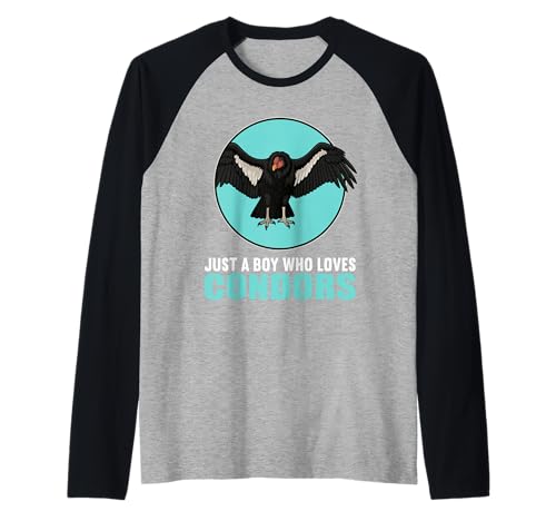 Herren Kondore Kondor Raglan Herren Kondore Kondor Raglan von Kondore Kondor Tier Shop