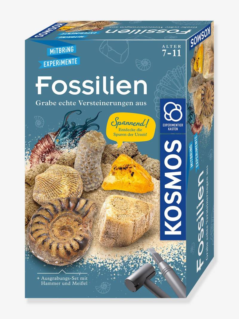 Fossilien-Ausgrabungsset Kinder KOSMOS von Kosmos