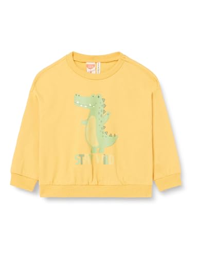 Koton Babyboy Dinosaur Printed Long Sleeve Crew Neck Brushed Interior Cotton von Koton