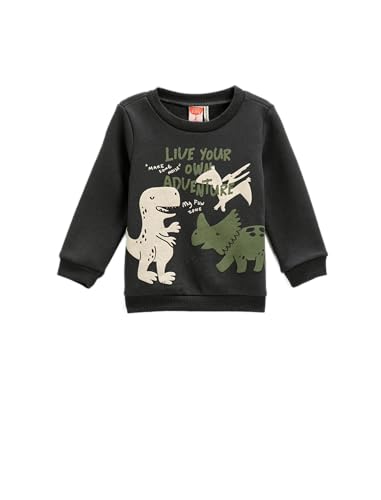 Koton Babyboy Dinosaur Printed Sweatshirt Long Sleeve Crew Neck Cotton von Koton